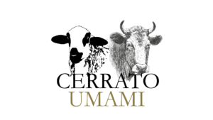 cerrato umami 