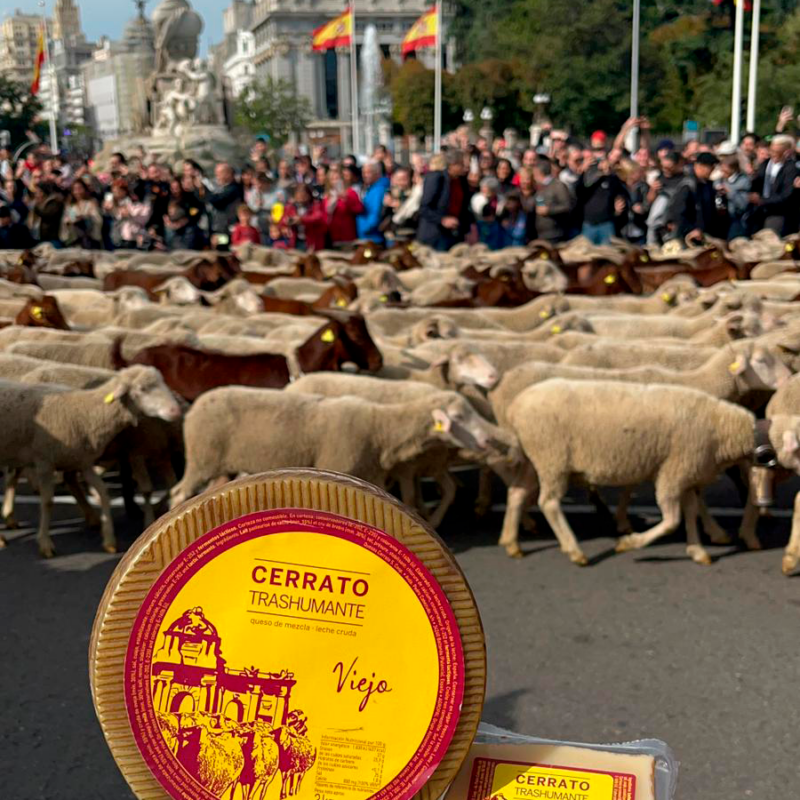 Trashumancia en Madrid